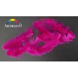 PIUME MARABOUT.FUXIA...
