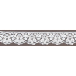PIZZO RASCHEL 100%...