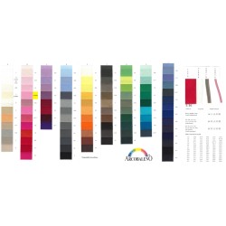 CARTELLA COLORE SBIECO S36...