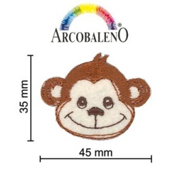 APPLICAZIONE SCIMMIE