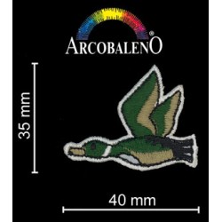 APP"CANARD VOLANT".VERDE-VDE M