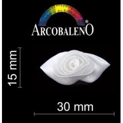 APPL ROSE GRANDI.BIANCO/BCO...