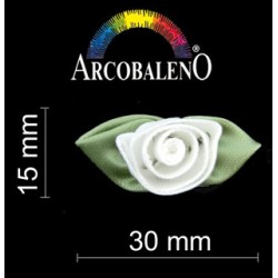 APPL ROSE GRANDI.BIANCO/VDE...