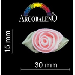APPL ROSE GRANDI.ROSA/VDE...
