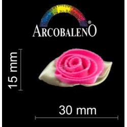 APPL ROSE GRANDI.ROSA...