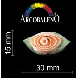 APPL ROSE...