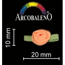 APPL ROSE PICCOLE.PESCA...