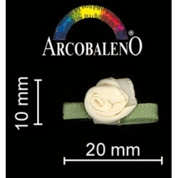 APPL ROSE PICCOLE.CREMA/VDE...