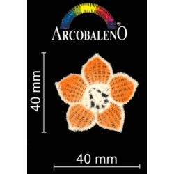 FIORE AGRUMI TERMOAD.ARANCIO
