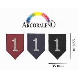 AP TERMOA SCUDO 1...