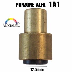INFERIORE X TESTA (A)