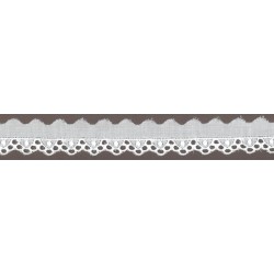 PIZZO SAN GALLO mm15.BIANCO...