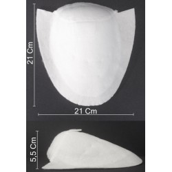 SPALLINE OVATTA RAGLAN -...